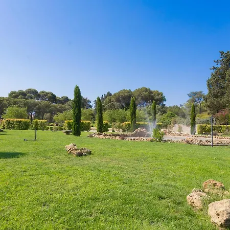 Arborea Squinzano